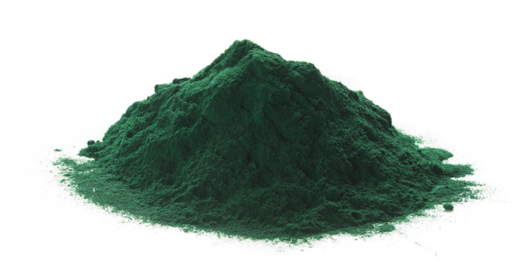 Spirulina zmielona w postaci kupki