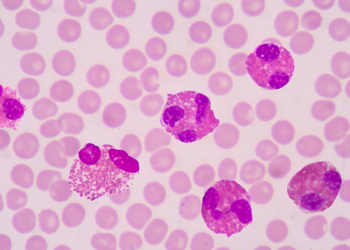 Eozynofile w przybliżeniu mikroskopijnym