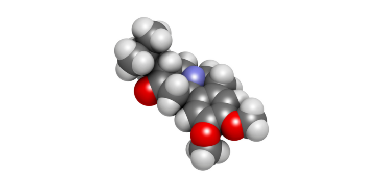 Cząsteczka Pląsawicy Huntingtona